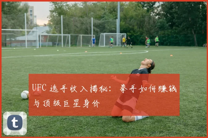 UFC 选手收入揭秘:拳手如何赚钱与顶级巨星身价