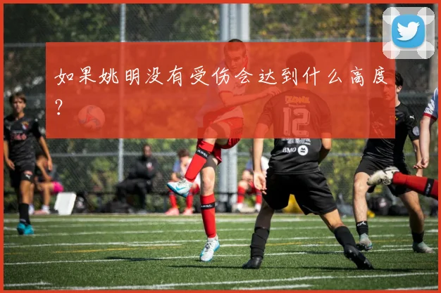 如果姚明没有受伤会达到什么高度？