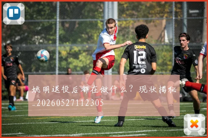 姚明退役后都在做什么？现状揭秘_20260527112305