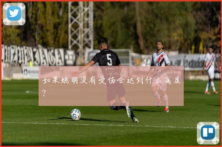 如果姚明没有受伤会达到什么高度？